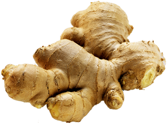 Jual Sparepart Truk Jahe Merah